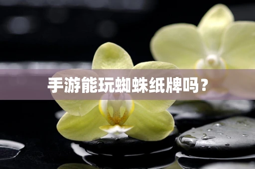 手游能玩蜘蛛纸牌吗？