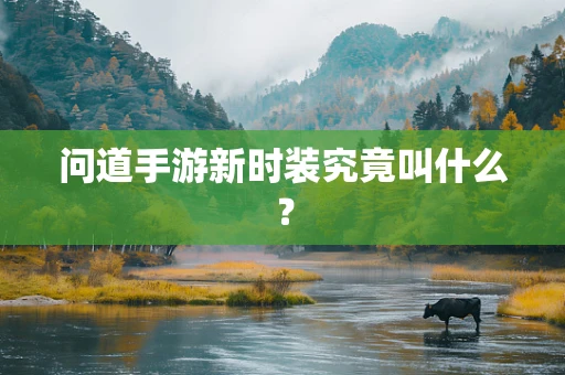 问道手游新时装究竟叫什么？